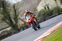 Oulton-Park-21st-March-2020;PJ-Motorsport-Photography-2020;anglesey;brands-hatch;cadwell-park;croft;donington-park;enduro-digital-images;event-digital-images;eventdigitalimages;mallory;no-limits;oulton-park;peter-wileman-photography;racing-digital-images;silverstone;snetterton;trackday-digital-images;trackday-photos;vmcc-banbury-run;welsh-2-day-enduro